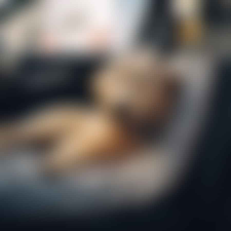 Dog resting comfortably on a travel bed in a car